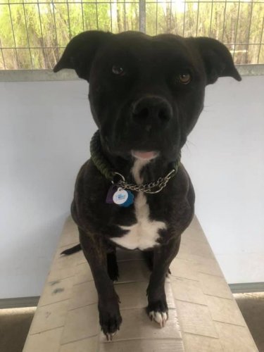 Carousel post from Grand County Sheriff's Office - Colorado.