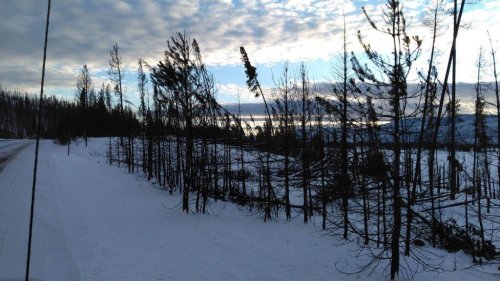 Photo post from Grand County Sheriff's Office - Colorado.