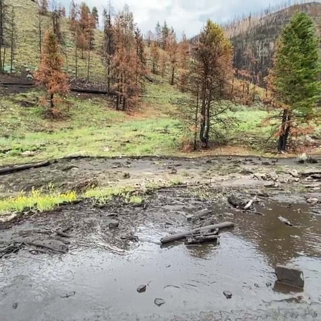 Video post from Grand County Sheriff's Office - Colorado.