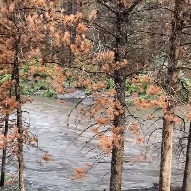 Video post from Grand County Sheriff's Office - Colorado.