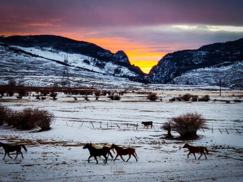 Photo post from Grand County Sheriff's Office - Colorado.
