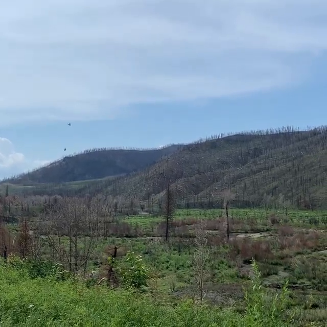 Video post from Grand County Sheriff's Office - Colorado.