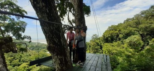 Carousel post from Chiclets Zipline.