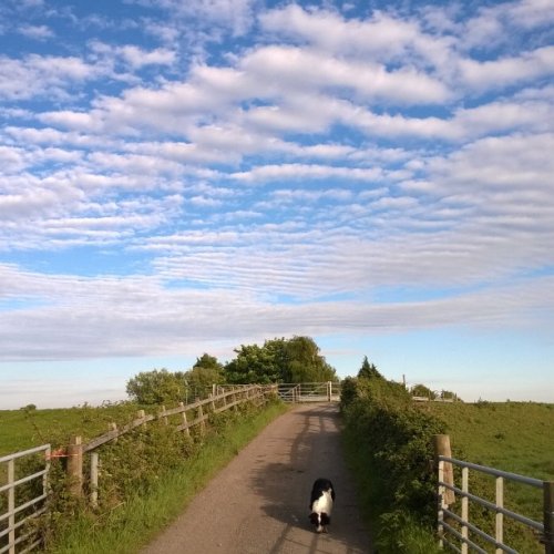 Photo post from westusklighthouse.