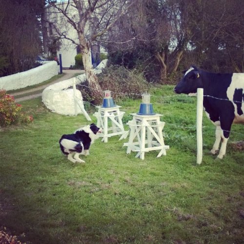 Photo post from westusklighthouse.