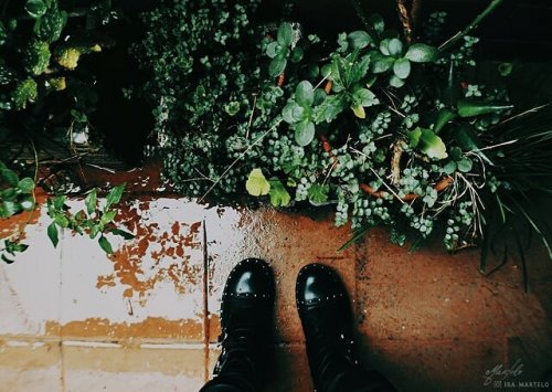 Carousel post from ira.martelo.