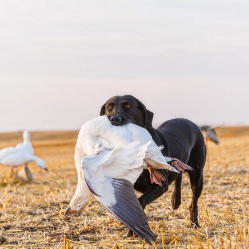 Photo post from northernskiesoutfitters.