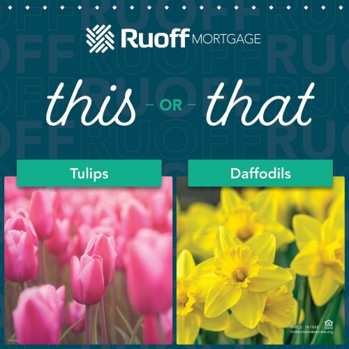 Photo post from ruoffmortgage.