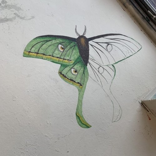 Photo post from dwightlofts.