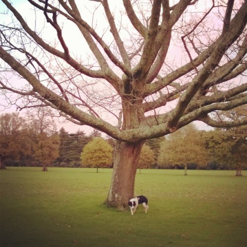 Photo post from westusklighthouse.