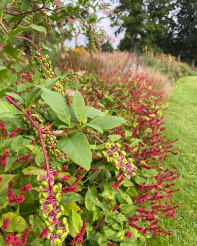 Photo post from sussexprairies.