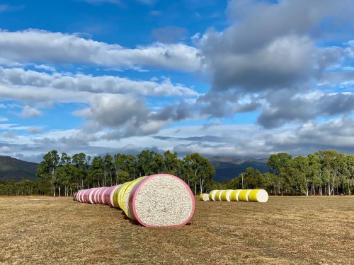 Photo post from howefarming.