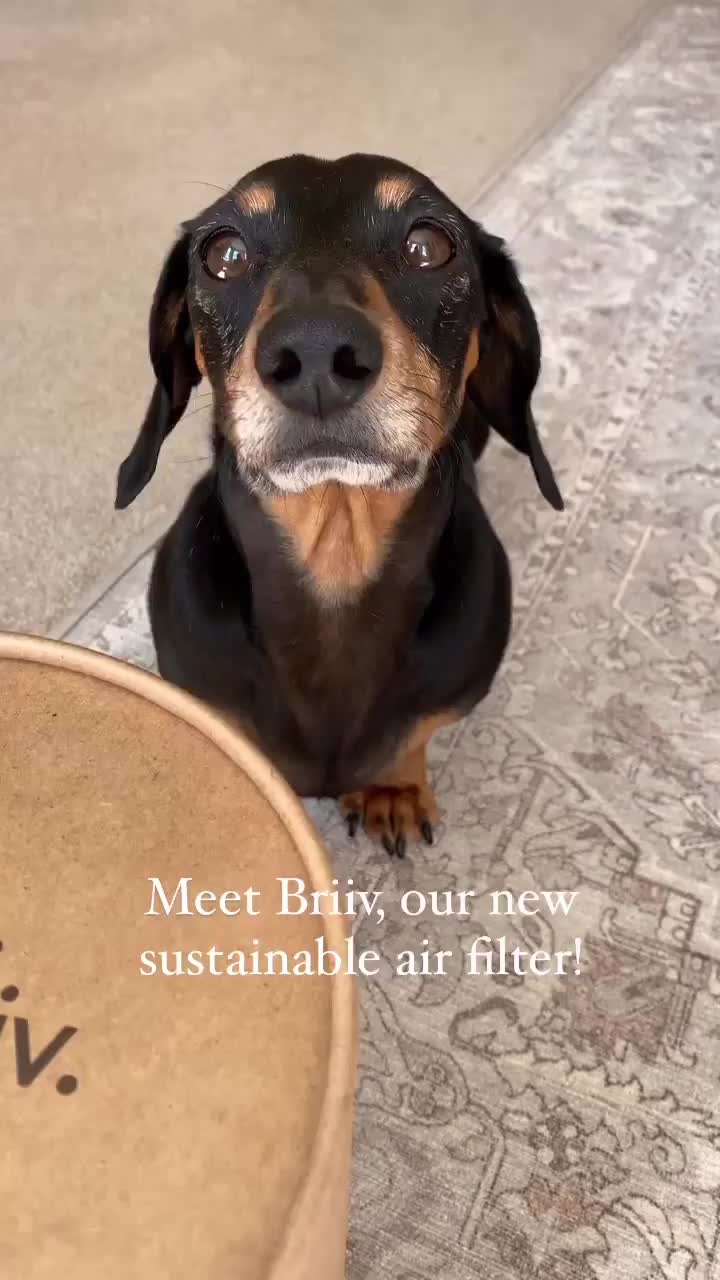 Video post from briiv.natural.