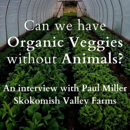 Photo post from hungryhollowfarm.