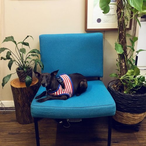 Photo post from bodyharmonie_marrickville.