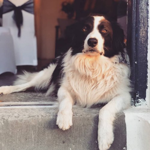 Carousel post from westusklighthouse.