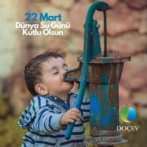 Photo post from dogavecevrevakfi.