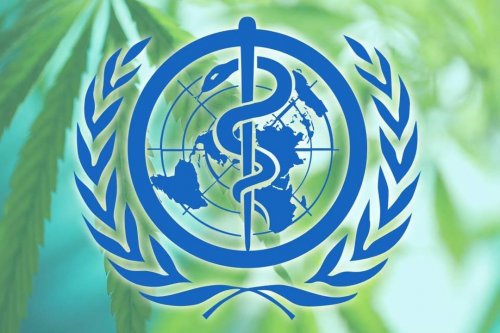 Photo post from kynorml.