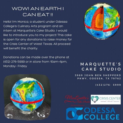 Photo post from marquettescakestudio.