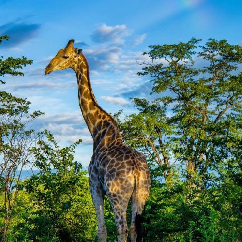 Photo post from taucktravel.