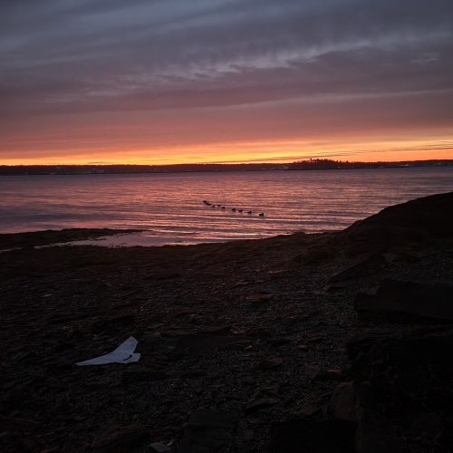 Photo post from reddogguideservice.