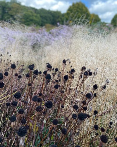 Photo post from sussexprairies.