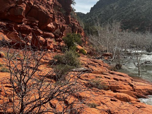 Carousel post from susanlutz57.