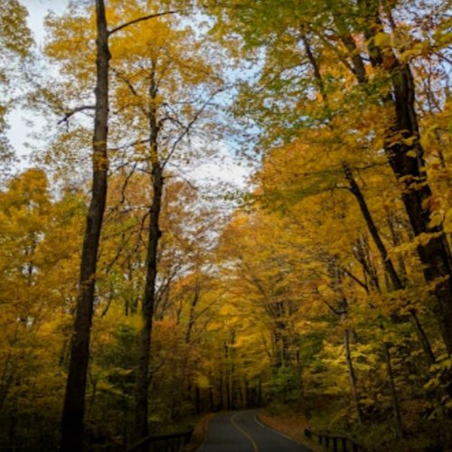 Photo post from hotelonnorth.