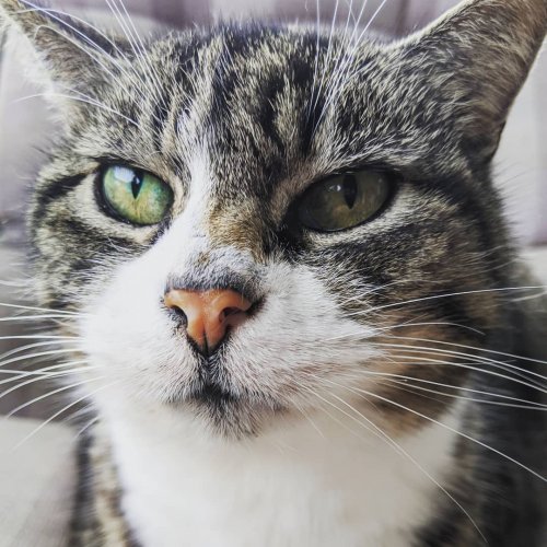 Photo post from hungryhollowfarm.