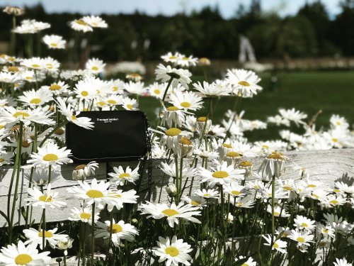 Photo post from dreamcomber.
