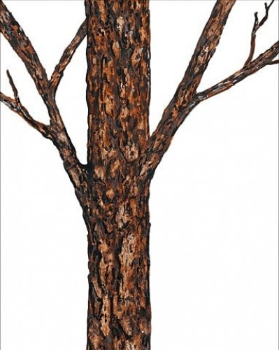 Photo post from ira.martelo.