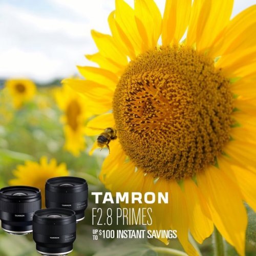 Photo post from cardinalcamera1937.