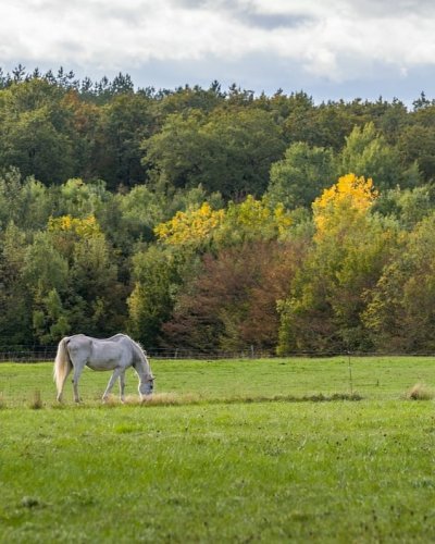 Photo post from chateauderazay.