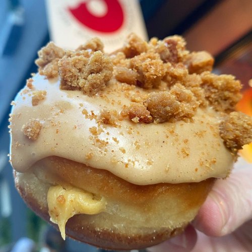 Photo post from thedoughnutproject.