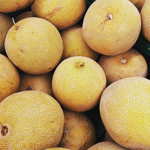 Carousel post from farmbox_arizona.