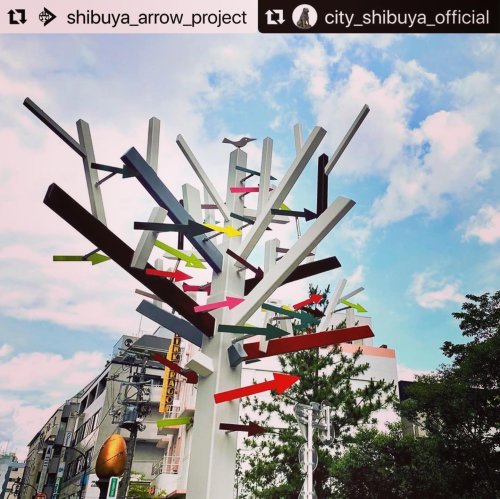 Photo post from moichi_kuwahara.