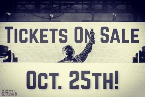 Photo post from soma_ent.