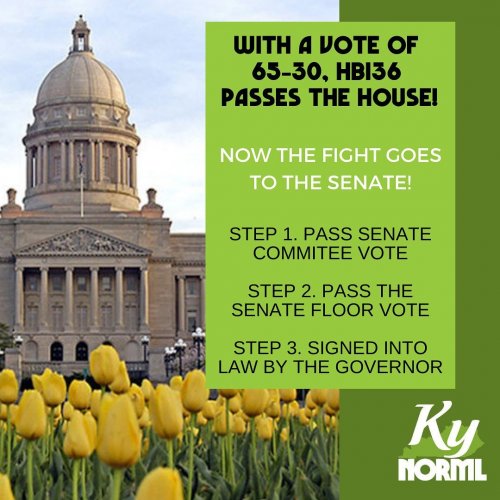 Photo post from kynorml.