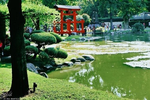 Carousel post from ira.martelo.