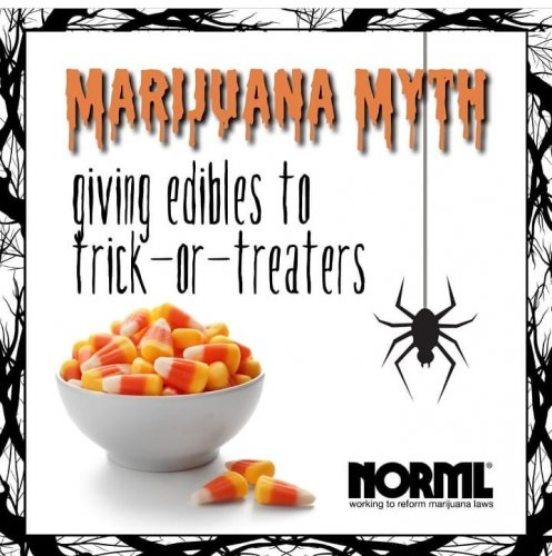 Photo post from kynorml.