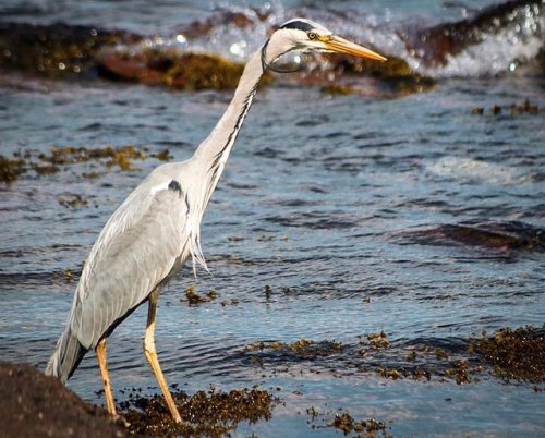 Photo post from visitarran.