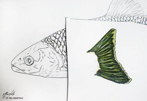 Photo post from ira.martelo.