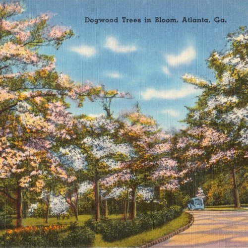Photo post from dogwoodfestival.