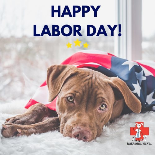 Photo post from familyanimalhospitalcm.