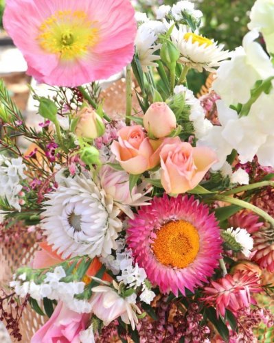 Photo post from currumbinvalleyharvest.