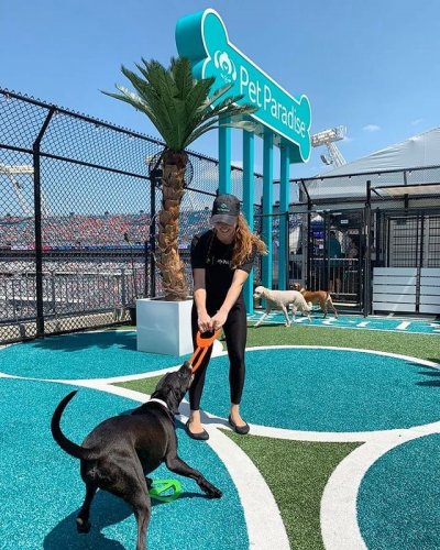 Jaguars, Pet Paradise announce new details on NFL's first in-stadium dog  park