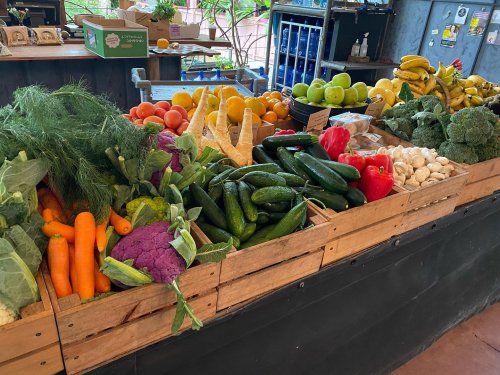 Photo post from currumbinvalleyharvest.