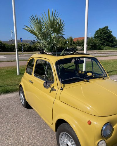 Photo post from blomsterborsen.