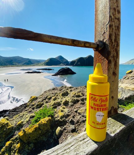 Photo post from oldyellamustard.