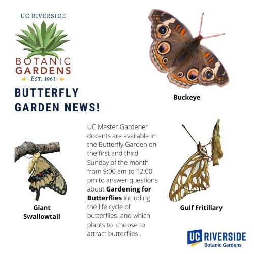Photo post from ucrbotanicgardens.